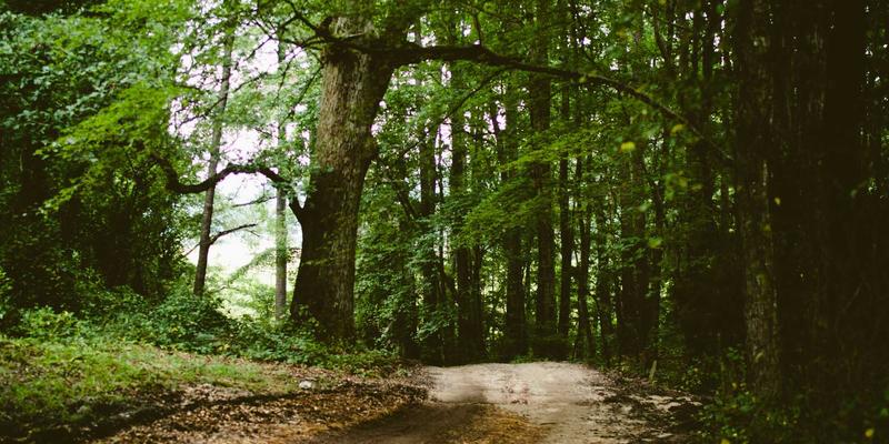 商务礼品与纪念品设计的健康新赛道：洞察养生定制市场与创意设计方向