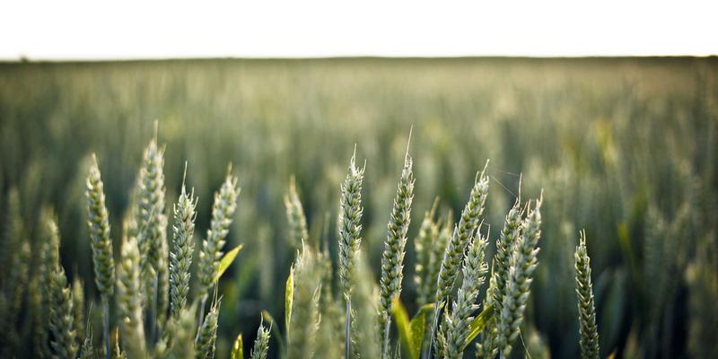 商务礼品定制新趋势：房地产交房礼品如何通过个性化设计提升业主归属感