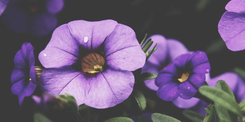 智能家居场景礼品定制：如何通过促销礼品与纪念品设计，将品牌深度融入用户日常生活