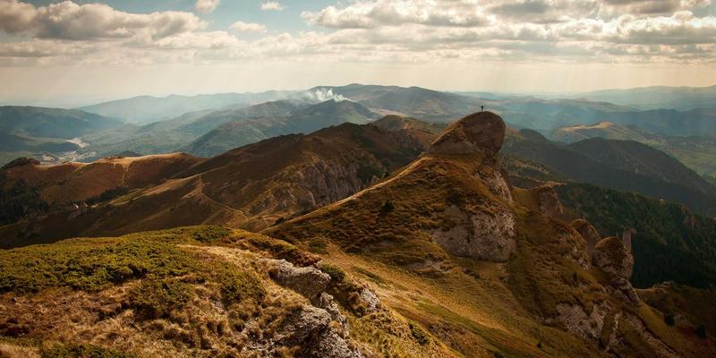 知礼兜：个性化礼品定制如何成为宠物品牌增强客户黏性的新引擎