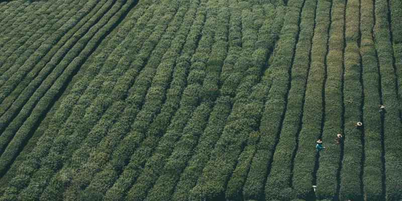 美妆行业促销礼品定制指南：小样创新与体验式营销如何借助知礼兜实现个性化突破