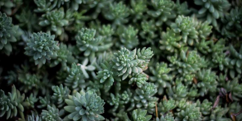 高端科技礼品定制指南：智能硬件与物联网设备如何赋能企业客户关系